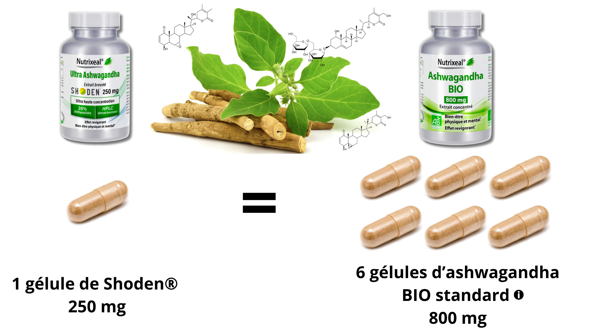 Comparaison dosage Shoden et KSM-66